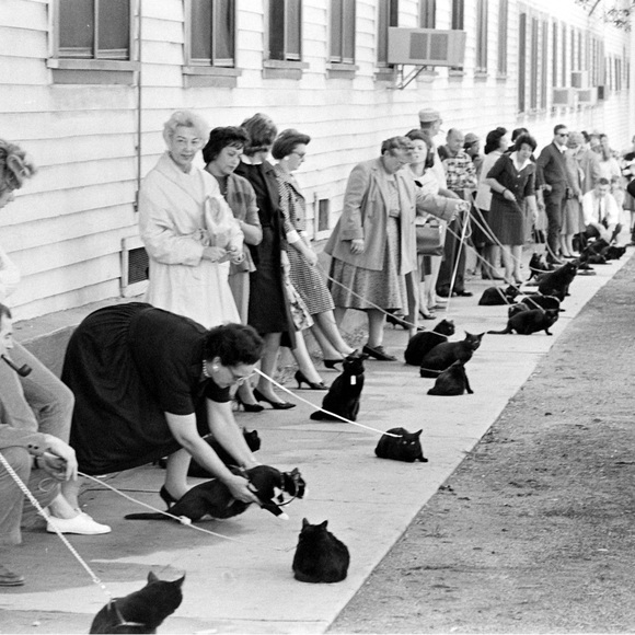 Little Ghost Enamel Pin - Ghost Busters  / black cat - Picture 2 of 3